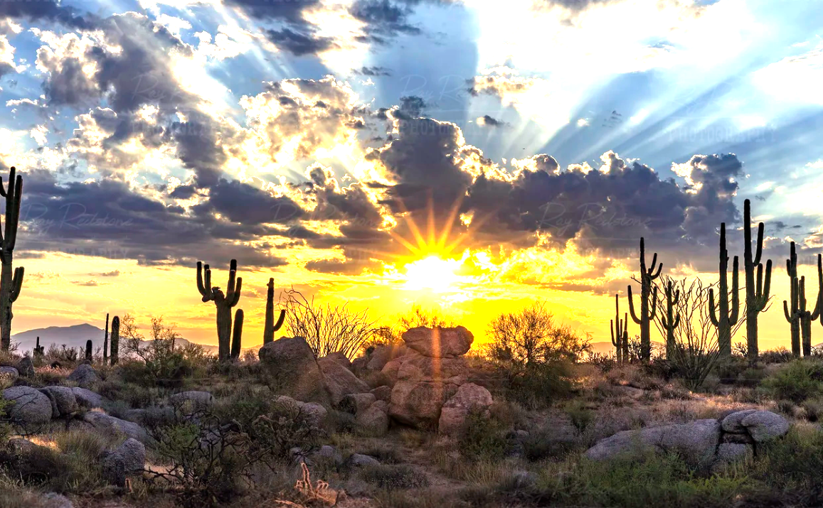 Arizona Sonoran Desert sunset over saguaros and granite boulders